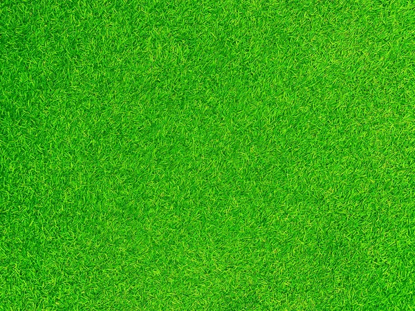 Green Grass Texture Background Grass Garden Concept Used Making Green — Foto de Stock