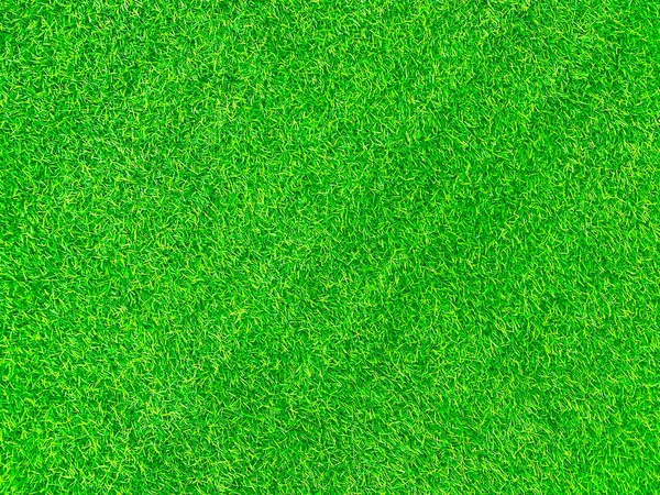 Green Grass Texture Background Grass Garden Concept Used Making Green — Stock Fotó