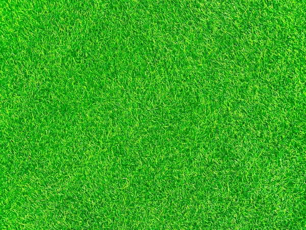 Green Grass Texture Background Grass Garden Concept Used Making Green — Stockfoto