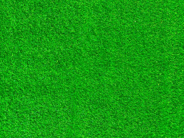 Green grass texture background grass garden concept used for making green background football pitch, Grass Golf, green lawn pattern textured background.	