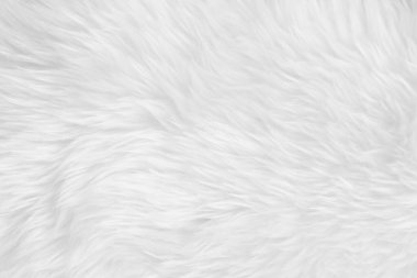 Beyaz, temiz yün dokusu arka planda. hafif doğal koyun yünü. Beyaz, pürüzsüz pamuk. Tasarımcılar için tüylü kürk dokusu. yakın plan beyaz yün halı..
