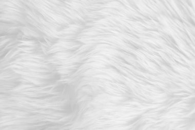 Beyaz, temiz yün dokusu arka planda. hafif doğal koyun yünü. Beyaz, pürüzsüz pamuk. Tasarımcılar için tüylü kürk dokusu. yakın plan beyaz yün halı..
