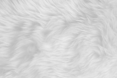 Beyaz, temiz yün dokusu arka planda. hafif doğal koyun yünü. Beyaz, pürüzsüz pamuk. Tasarımcılar için tüylü kürk dokusu. yakın plan beyaz yün halı..