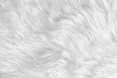 Beyaz, temiz yün dokusu arka planda. hafif doğal koyun yünü. Beyaz, pürüzsüz pamuk. Tasarımcılar için tüylü kürk dokusu. yakın plan beyaz yün halı..