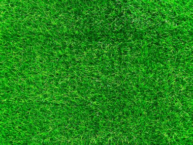 Green grass texture background grass garden concept used for making turf green background football pitch, Grass Golf, green lawn pattern textured background.	