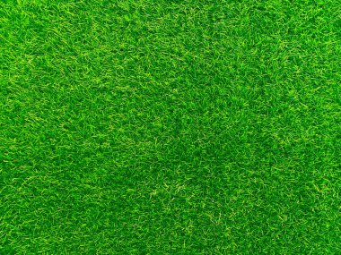 Green grass texture background grass garden concept used for making turf green background football pitch, Grass Golf, green lawn pattern textured background.	