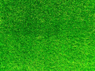 Green grass texture background grass garden concept used for making turf green background football pitch, Grass Golf, green lawn pattern textured background.	