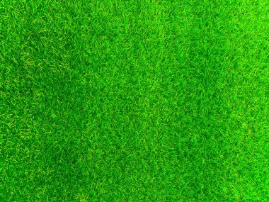 Green grass texture background grass garden concept used for making turf green background football pitch, Grass Golf, green lawn pattern textured background.	