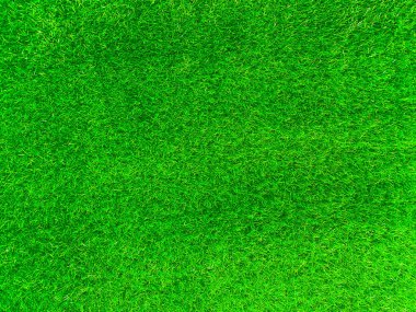 Green grass texture background grass garden concept used for making turf green background football pitch, Grass Golf, green lawn pattern textured background.	