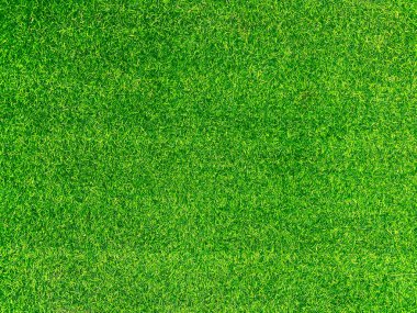 Green grass texture background grass garden concept used for making turf green background football pitch, Grass Golf, green lawn pattern textured background.	