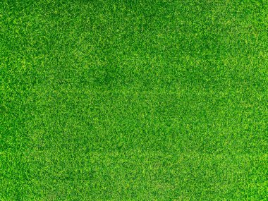 Green grass texture background grass garden concept used for making turf green background football pitch, Grass Golf, green lawn pattern textured background.	