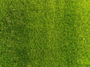 Green grass texture background grass garden concept used for making turf green background football pitch, Grass Golf, green lawn pattern textured background.	