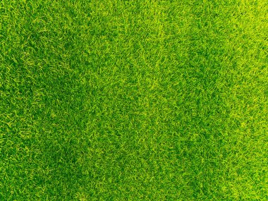 Green grass texture background grass garden concept used for making turf green background football pitch, Grass Golf, green lawn pattern textured background.	