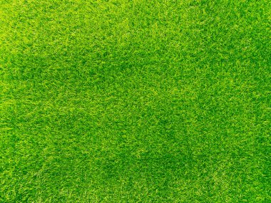 Green grass texture background grass garden concept used for making turf green background football pitch, Grass Golf, green lawn pattern textured background.	