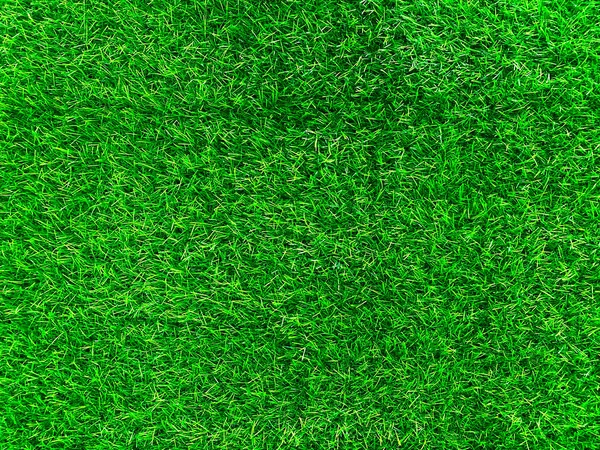 Green Grass Texture Background Grass Garden Concept Used Making Turf — 스톡 사진
