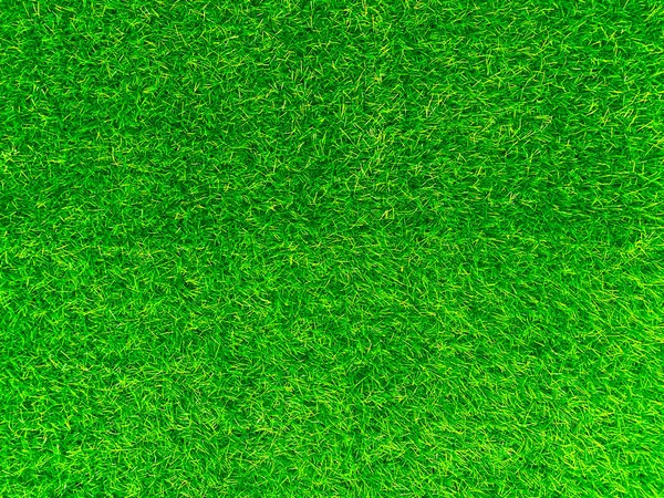 Green Grass Texture Background Grass Garden Concept Used Making Turf — Stockfoto