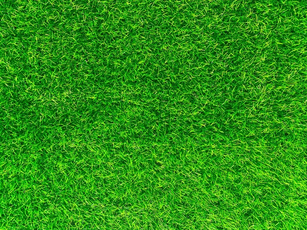 Green Grass Texture Background Grass Garden Concept Used Making Turf — Foto Stock