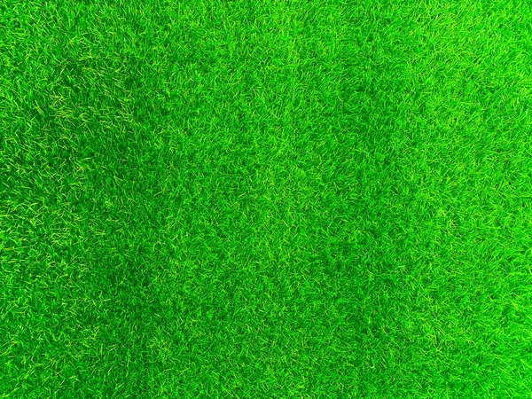 Green Grass Texture Background Grass Garden Concept Used Making Turf — Stock fotografie