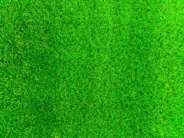 Green Grass Texture Background Grass Garden Concept Used Making Turf — Foto Stock