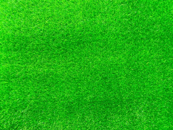 Green Grass Texture Background Grass Garden Concept Used Making Turf —  Fotos de Stock