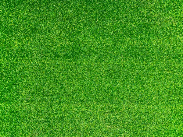 Green Grass Texture Background Grass Garden Concept Used Making Turf — Photo