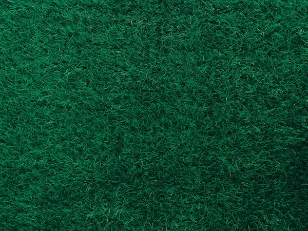 Green Grass Texture Background Grass Garden Concept Used Making Turf — стокове фото