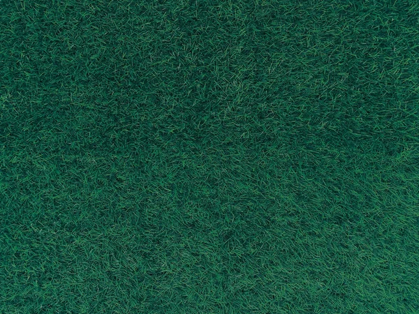 Green Grass Texture Background Grass Garden Concept Used Making Turf — Stockfoto