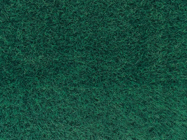 Green Grass Texture Background Grass Garden Concept Used Making Turf — Fotografia de Stock