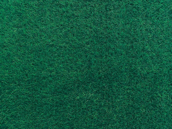 Green Grass Texture Background Grass Garden Concept Used Making Turf — ストック写真