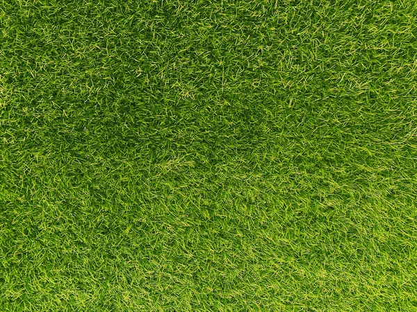 Green Grass Texture Background Grass Garden Concept Used Making Turf — Foto de Stock