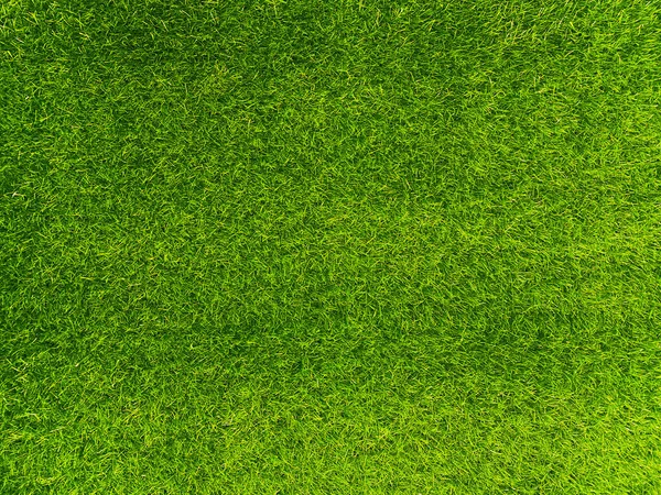 Green Grass Texture Background Grass Garden Concept Used Making Turf —  Fotos de Stock