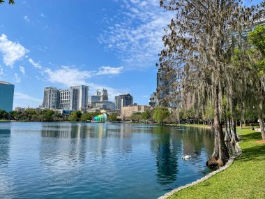 Orlando, Florida şehir merkezindeki Eola Gölü Parkı. Arka planda büyük ticari binalar.