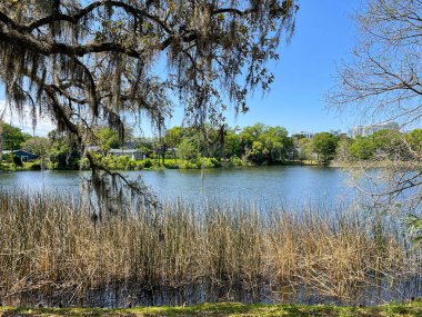 Orlando, Florida şehir merkezindeki Eola Gölü Parkı
