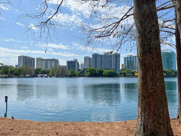 Orlando, Florida şehir merkezindeki Eola Gölü Parkı. Arka planda büyük ticari binalar.