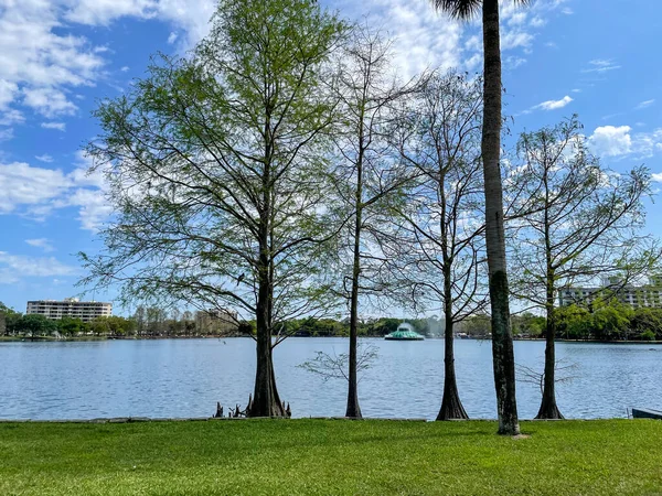 Orlando, Florida şehir merkezindeki Eola Gölü Parkı. Arka planda büyük ticari binalar.