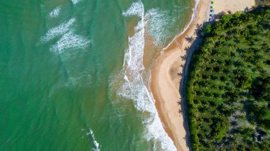 Aerial view of Caraiva beach, Porto Seguro, Bahia, Brazil. Colorful beach tents, sea and river.