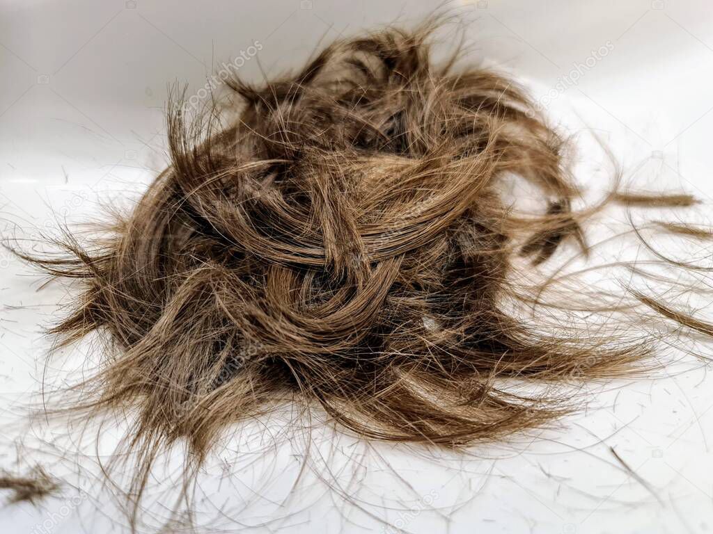 Light brown mid-length cutted hair on white