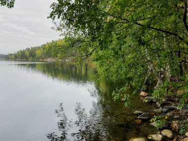 Idyllic durgun su Sonbahar gölü manzarası