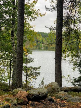 Idyllic durgun su Sonbahar gölü manzarası
