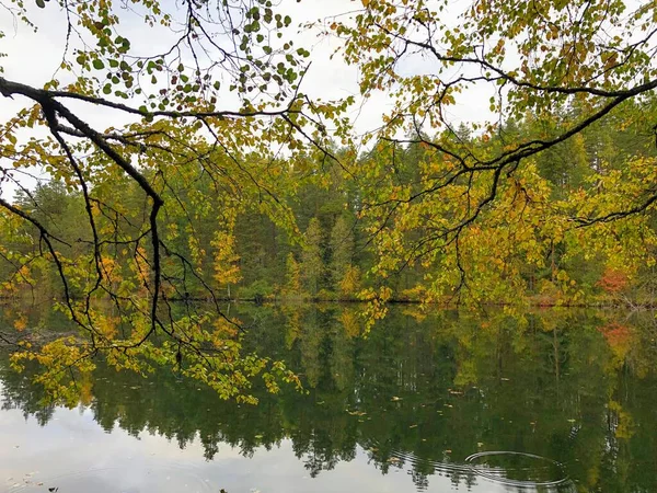 Tichá Klidná Krajina Podzimního Jezera Lese — Stock fotografie