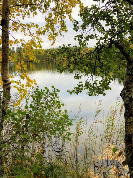 Idylliskt Stilla Vatten Höst Sjö Landskap — Stockfoto