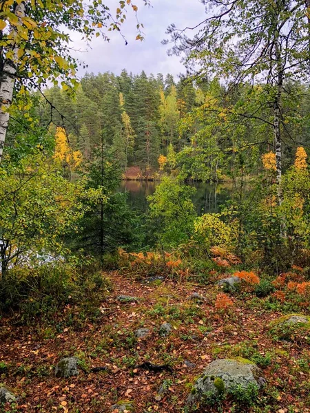 Scénická Podzimní Krajina Lesem Rybníkem Valkjarvi Pozadí — Stock fotografie