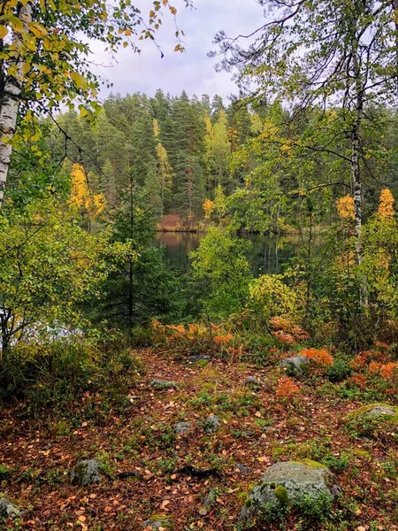 Natursköna Höstlandskap Med Skog Och Valkjarvi Damm Backrgound — Stockfoto