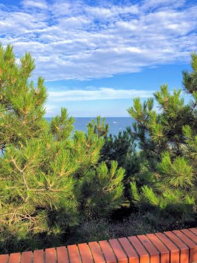 Alçak tuğlalı çitlerin ve köknar çalılarının üzerinden çöle sakin bir Ukraynalı deniz bulutlu gökyüzünün altında güneşli bir günde