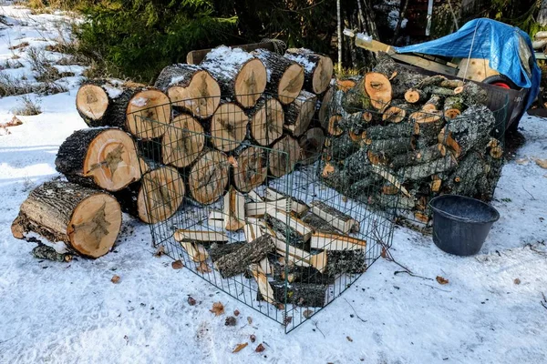 Leña Superficie Cortada Árbol Con Anillos Concéntricos Que Representan Solo — Foto de Stock