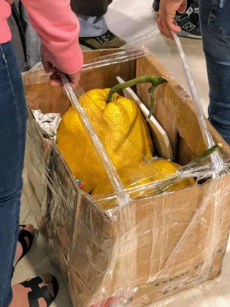 Dos Hembras Llevando Caja Abierta Superior Con Dos Frutas Amarillas —  Fotos de Stock