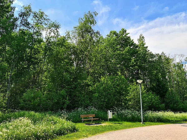 Wooden Bench Trash Can Light Pole Sandy Walkway Trees Background — 스톡 사진