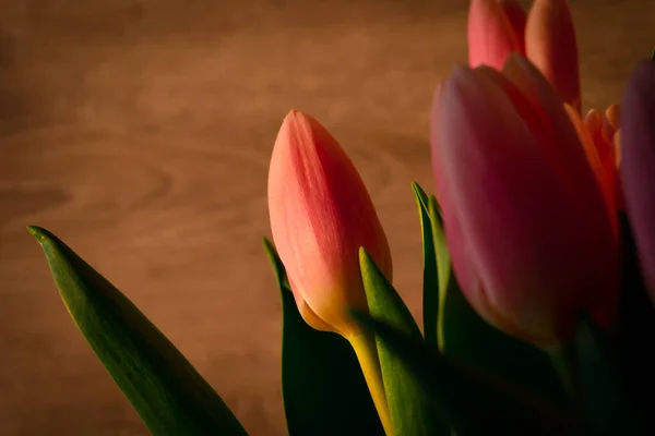 Tulipanes rosados sobre un fondo de madera. Primer plano. Rayos solares. — Foto de Stock