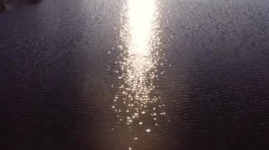 Dnepr Nehri. Kış şehir manzarası. Gün batımında yüzen ördekler. hava durumu.