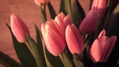 Ahşap arka planda pembe laleler. Yakın plan. Güneş ışınları.